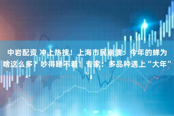 中岩配资 冲上热搜！上海市民崩溃：今年的蝉为啥这么多？吵得睡不着！专家：多品种遇上“大年”