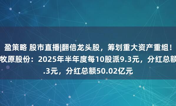 盈策略 股市直播|翻倍龙头股,筹划重大资产重组!跨界芯片;牧原股份:2025年半年度每10股派9.3元,分红总额50.02亿元
